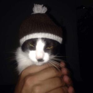 Oceanografia Cerebral