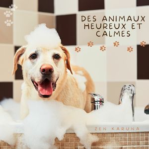 Musique pour chiens et chats qui trempent à la maison