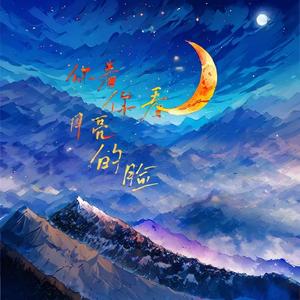 你看你看月亮的脸