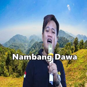 Nambang Dawa