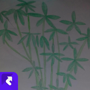 逝去的友情 (现场)