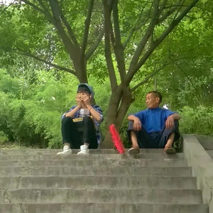 《爱尔兰画眉》口琴版