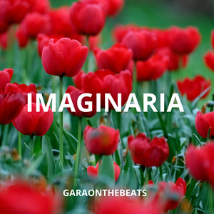Imaginaria