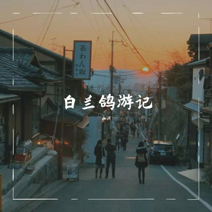 丢火车-白兰鸽巡游记（山河 remix）