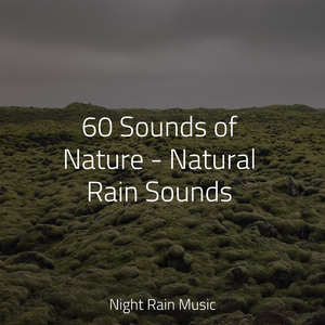 Ocean, Waves, Splashing