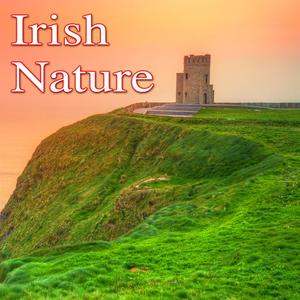 The Edge of the Emerald Isle with Sounds of the Sea