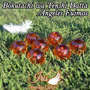 Bokutachi wa Tenshi Datta (From "Dragon Ball Z")