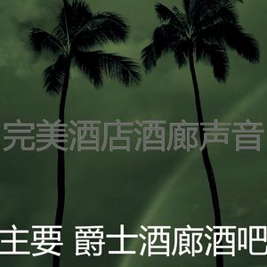 优美酒店大堂器乐