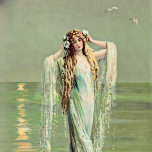 これからのこと