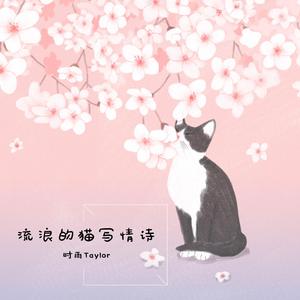 流浪的猫写情诗