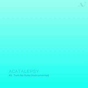 Tum Na Ruke (Instrumental)