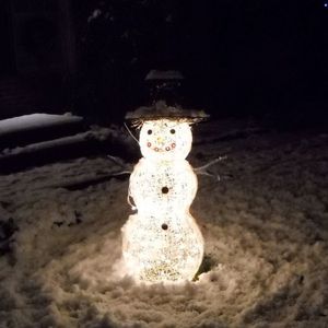 飘落的雪花(The Falling Snowflace).Demo