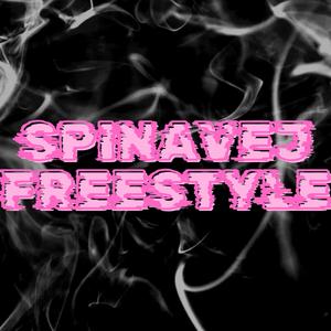 Špinavej Freestyle