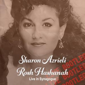 Mechalkel Chayim Bechesed (Live)