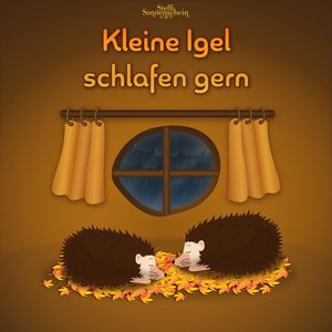 Kleine Igel schlafen gern