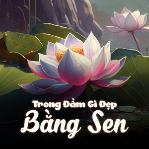 Trong Đầm Gì Đẹp Bằng Sen