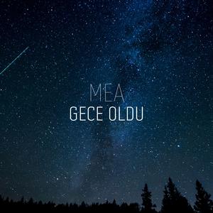 Gece Oldu