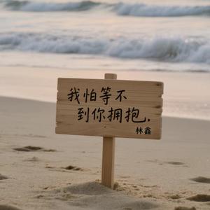 我怕等不到你拥抱