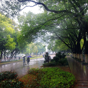 江西理工大学校歌 - 我们从这里启航