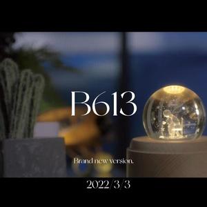 B613（2022精装版）