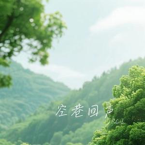 空巷回声