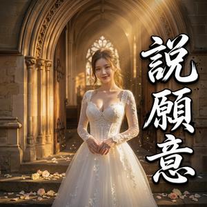 說願意
