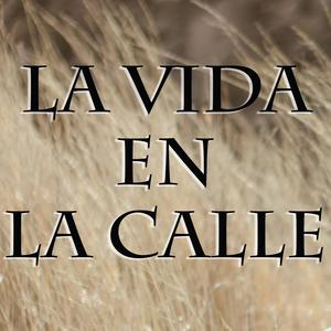 La Vida en la Calle (feat. Mr Crober & Mc Ruzza)