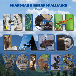 I Need the Water (feat. Casey Neill & Annalisa Tornfelt)