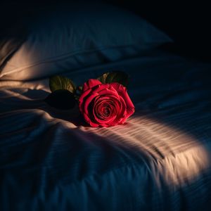 Relationship Mutilada