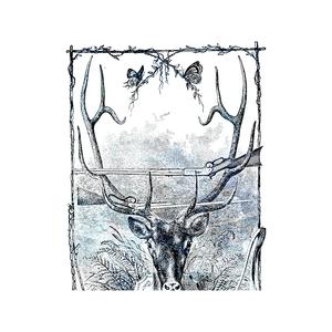 My Whole Rooms on Fire