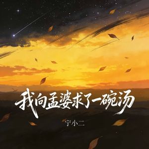 我向孟婆求了一碗汤