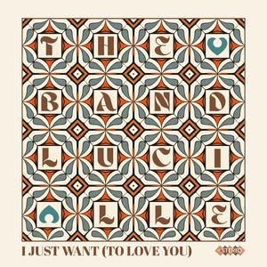 I Just Want (To Love You)