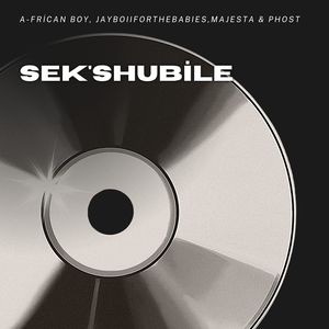 Sek'shubile (Radio Edit)