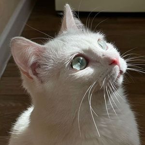 超现实梦 Type Beat