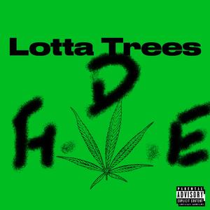 Lotta Trees