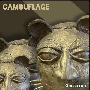 Camouflage