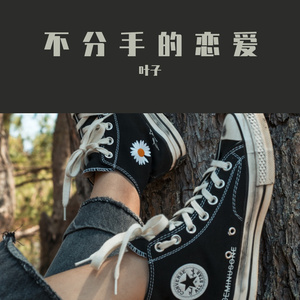 不分手的恋爱（叶子 remix）