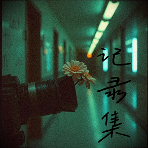 记录集