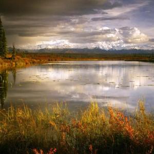 海草舞+浪花一朵朵(DJ版)（萧全 / 卓依婷 / 发发我的天空 remix）