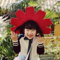 会唱歌的向日葵