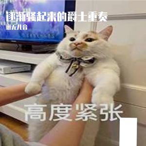 Delighe&Groovin king（骚气的爵士重奏）（翻自 taqumi）