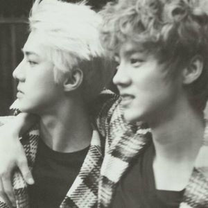 风又遇见你（原曲：别了夏天）（翻自 森山良子）