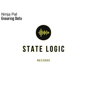 Ensuring Data (Radio Edit)