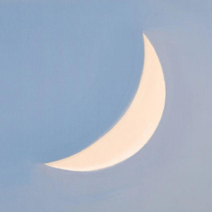 山间晴雾里的永恒情谊