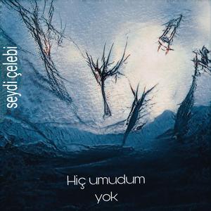 Hiç umudum yok