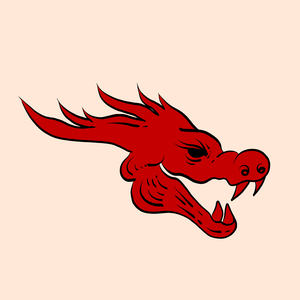 Chinese Phonk - Midu Echoing (Marimba Cover)