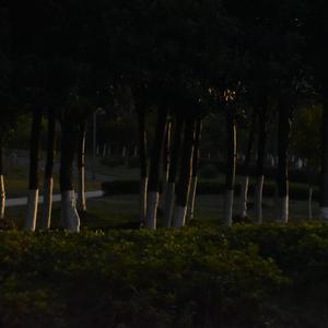 一次就好-（电影《夏洛特烦恼》主题曲）原唱:杨宗纬