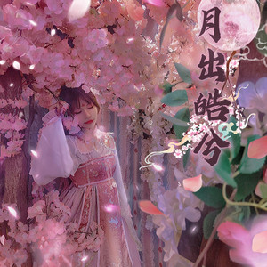 月出皓兮