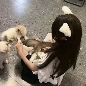 Title: 马踏春风来 - 2026丙午马年原创春节歌曲