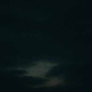 dream (feat. Ram Dass)